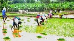 एग्रीकल्चर वर्कर्स (किसानों) के लिए झुककर काम करने के बाद रिकवरी एक्सरसाइज