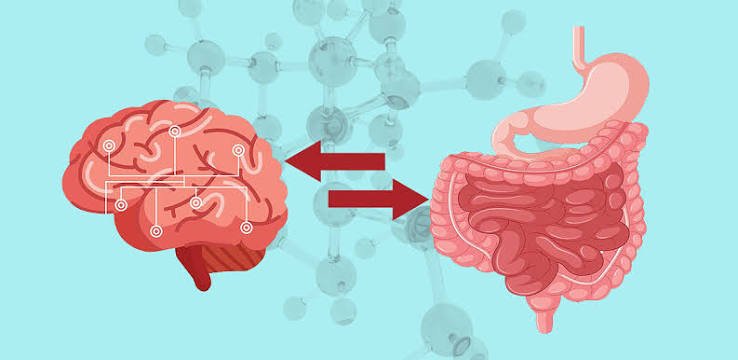 गट-ब्रेन एक्सिस (Gut-Brain Axis): पेट का स्वास्थ्य आपके मूड और मानसिक तनाव को कैसे प्रभावित करता है?