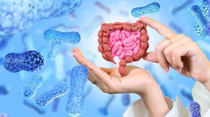 गट हेल्थ (Gut Health) और ऑटोइम्यून बीमारियों का मस्कुलोस्केलेटल दर्द से सीधा संबंध