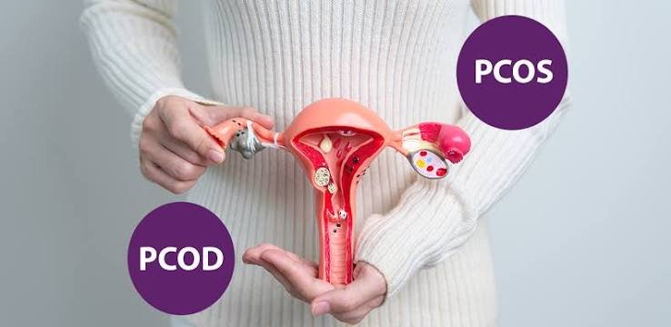 पीसीओएस (PCOS) और पीसीओडी (PCOD) में हार्मोनल संतुलन के लिए सही डाइट