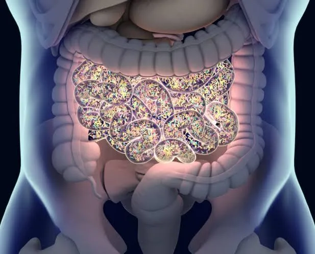 आंतों के माइक्रोबायोम (Gut Microbiome) का जोड़ों के गठिया (Arthritis) पर प्रभाव