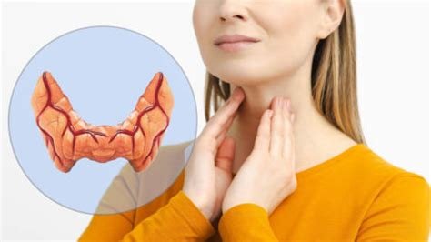 थायराइड (Hypothyroidism) के मरीजों के लिए वजन घटाने का सुरक्षित डाइट प्लान