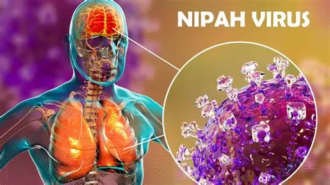 निपाह वायरस (Nipah Virus)