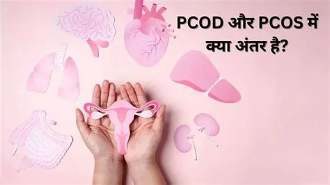 पीसीओएस - पीसीओडी (PCOS - PCOD)