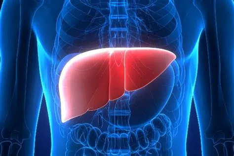 प्राइमरी बिलीरी कोलेंजाइटिस (Primary Biliary Cholangitis)