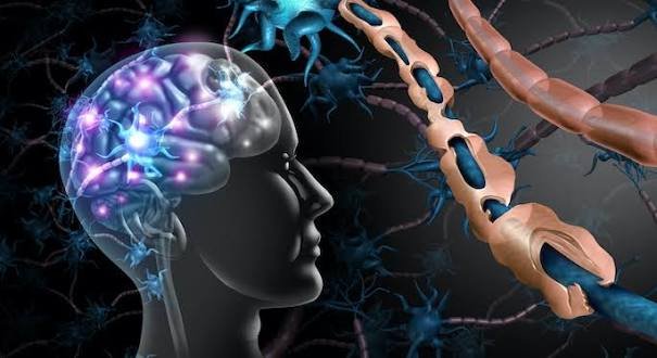 मल्टीपल स्क्लेरोसिस (MS) के मरीजों के लिए चाल (Gait) सुधारने की क्लिनिकल तकनीकें