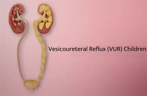वेसिकोयूरेटेरल रिफ्लक्स (Vesicoureteral Reflux)