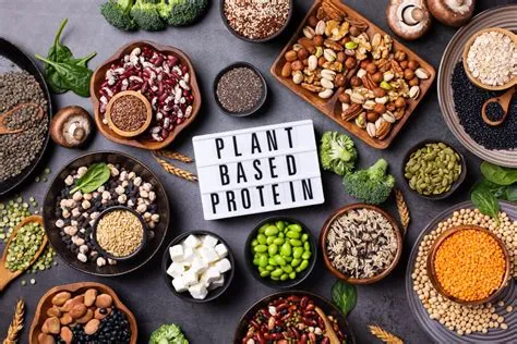 शाकाहारी एथलीट्स (Vegan Athletes) के लिए प्लांट-बेस्ड प्रोटीन के बेहतरीन स्रोत