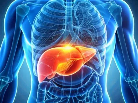 हेपेटिक एन्सेफैलोपैथी (Hepatic Encephalopathy - लिवर की बीमारी का मस्तिष्क पर असर)