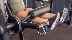 हैमस्ट्रिंग कर्ल (Hamstring Curl) का सही बायोमैकेनिक्स और इसके शारीरिक फायदे (वीडियो गाइड)
