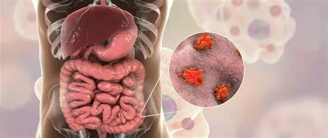 अमीबियासिस (Amebiasis / Amoebic Dysentery - पेचिश)