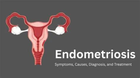 एंडोमेट्रियल हाइपरप्लासिया (Endometrial Hyperplasia - गर्भाशय की परत का मोटा होना)