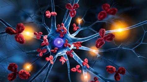 ऑटोइम्यून एंटरोपैथी (Autoimmune Enteropathy)