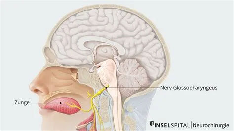 ग्लोसोफेरीन्जियल न्यूराल्जिया (Glossopharyngeal Neuralgia)