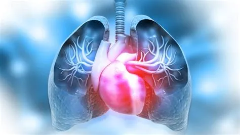 पल्मोनरी हाइपरटेंशन (Pulmonary Hypertension - फेफड़ों की धमनियों में उच्च रक्तचाप)