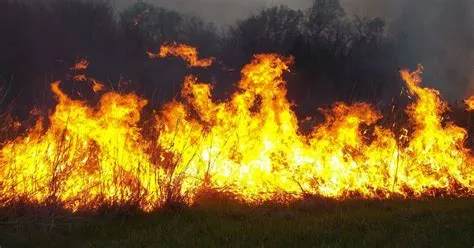 पाइरोमेनिया (Pyromania - आग लगाने की सनक)