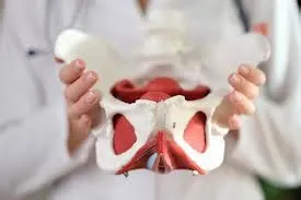 पेल्विक ऑर्गन प्रोलैप्स (Pelvic Organ Prolapse)