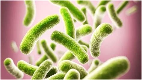 बैक्टीरियल वेजिनोसिस (Bacterial Vaginosis - योनि का जीवाणु संक्रमण)