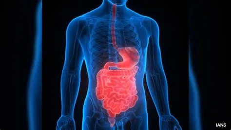 मेनेट्रियर रोग (Menetrier's Disease - पेट की परत का अत्यधिक मोटा होना)