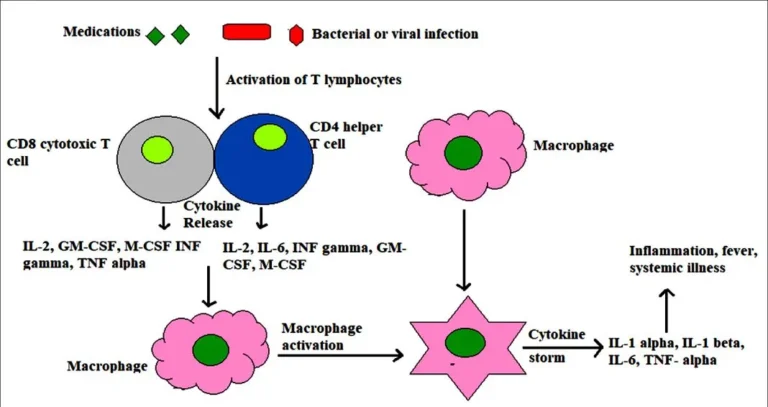 मैक्रोफेज एक्टिवेशन सिंड्रोम (Macrophage Activation Syndrome)