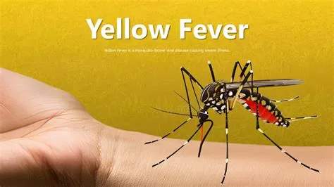 येलो फीवर (Yellow Fever - पीत ज्वर)