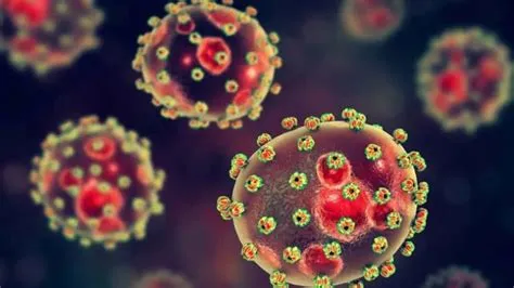लासा बुखार (Lassa Fever)