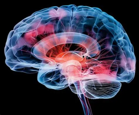 ल्यूकोडिस्ट्रॉफी (Leukodystrophy - मस्तिष्क के व्हाइट मैटर का नुकसान)
