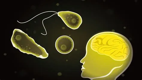 सिस्टीसर्कोसिस (Cysticercosis - सूअर के मांस से मस्तिष्क में फीताकृमि जाना)