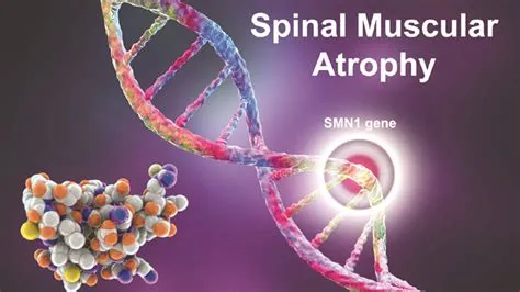 स्पाइनल मस्कुलर एट्रोफी (Spinal Muscular Atrophy - SMA)