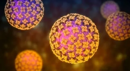 हंतावायरस पल्मोनरी सिंड्रोम (Hantavirus)