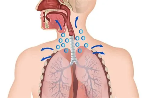 एम्फिसेमा (Emphysema - फेफड़ों के एयर सैक का नष्ट होना)